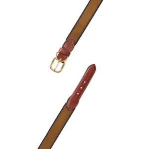 Rust on Navy Suede Dog Collar